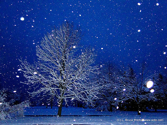 Wall Art - Mixed Media - Snowing in the Sapphire Hour 1 by Bruce Ritchie