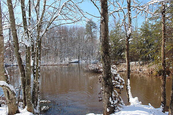 Snowy country pond in Virginia by Nancy Mell