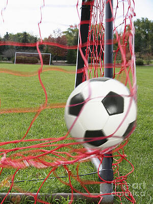 Soccer ball falling into goal post net by Steven Puetzer
