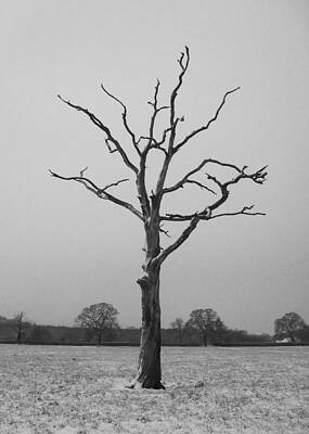 Solitude by Michael Standen Smith Solitude by Michael Standen Smith
