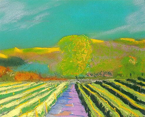 Sonoma Vineyard 4 by Anthony George Sonoma Vineyard 4 by Anthony George