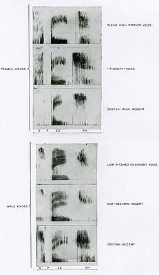 Wall Art - Photograph - Spectrograms Of The Word Speech by Science Source