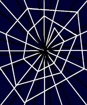 Spiderweb V by Adam Marx
