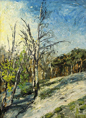 Springtime at Selsdon by Mike Burns