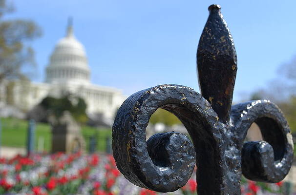 Springtime in DC by Devon McTavish