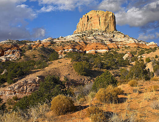 Wall Art - Photograph - Square Butte Near Kaibito Arizona by Tim Fitzharris