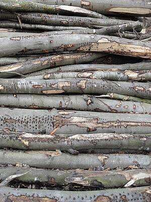 Stack by Michael Standen Smith Stack by Michael Standen Smith