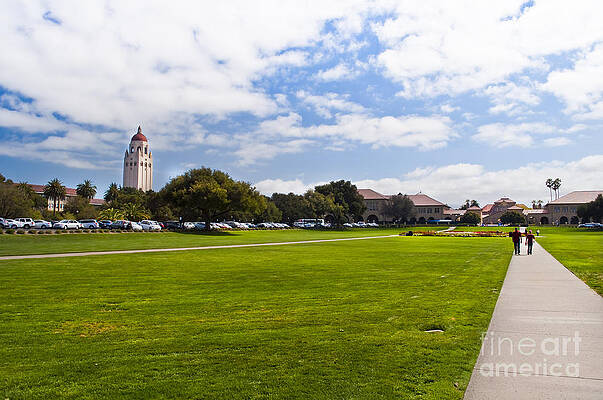 Stanford Lawn by Steven Van Gucht