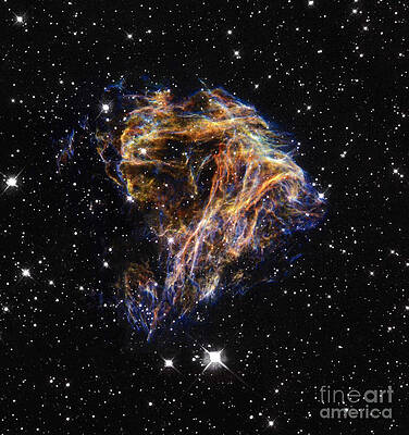 Wall Art - Photograph - Stellar Explosion by Science Source