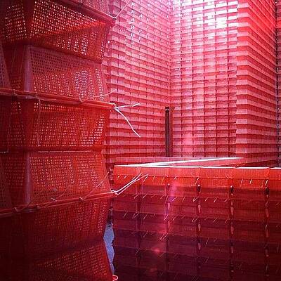 Wall Art - Photograph - Stimulus Package..#red #crates by A Rey