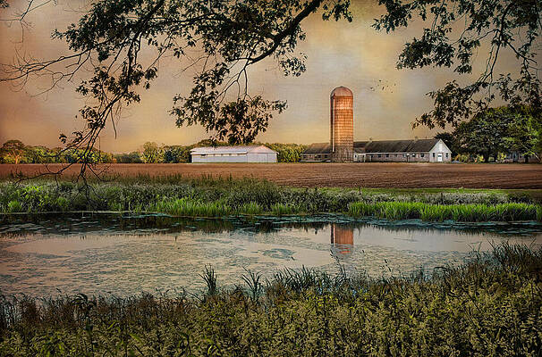 Wall Art - Photograph - Summer Silo Reflection by Robin-Lee Vieira