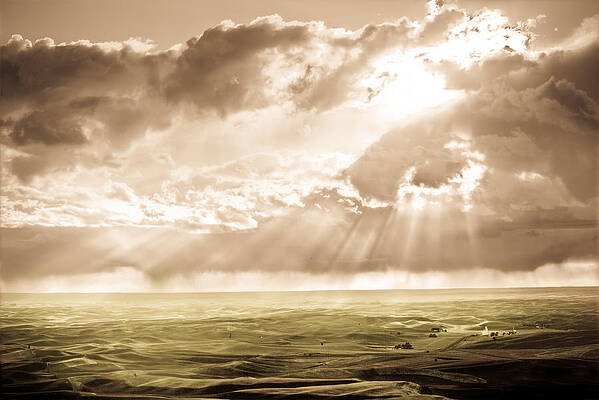 Wall Art - Photograph - Sunburst by Niels Nielsen