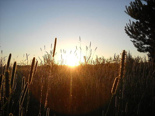 Sunrise over Hay by Kent Lorentzen Sunrise over Hay by Kent Lorentzen