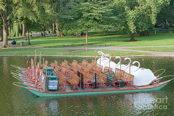 Massachusetts Wall Art featuring the photograph Swan Boat In Boston Public Garden by Clarence Holmes