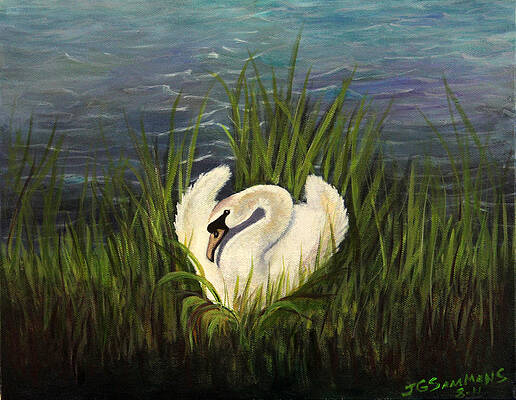 Swan Nesting by Janet Greer Sammons Swan Nesting by Janet Greer Sammons