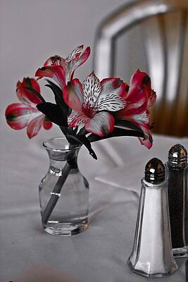 Table setting by Michael Ray