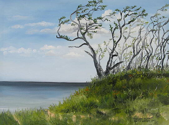 Talbot Island by Larry Whitler Talbot Island by Larry Whitler