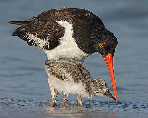 Teaching by Steve Leach