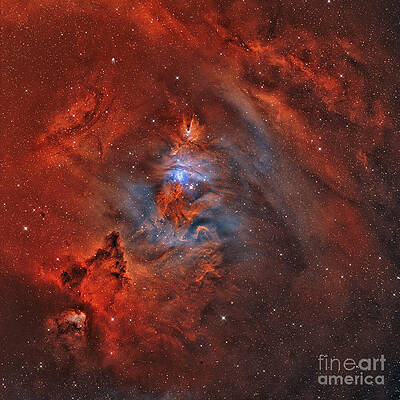 Wall Art - Photograph - The Christmas Tree Nebula, Cone Nebula by Rolf Geissinger