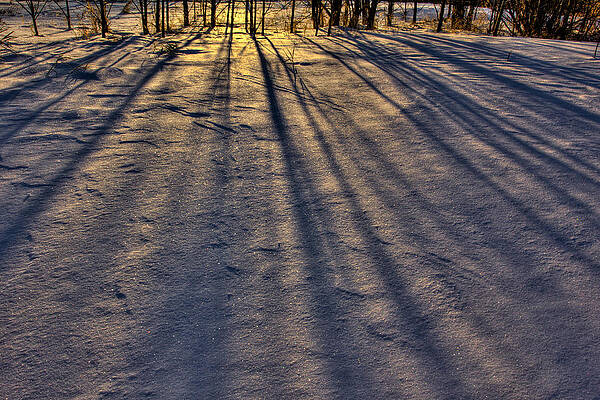 Wall Art - Photograph - The Colours of Snow by Jakub Sisak
