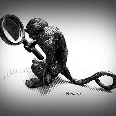 Wall Art - Photograph - The Curious by Matthew Blum
