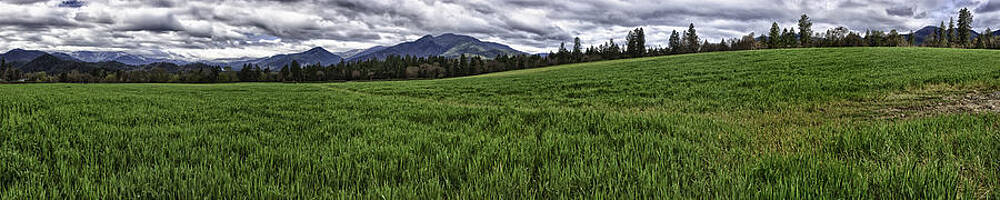 The Green Across by Nathaniel Kolby The Green Across by Nathaniel Kolby