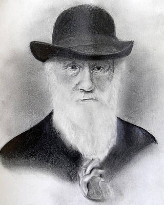  Drawing - The Heart of Evolution  by Andrea Realpe