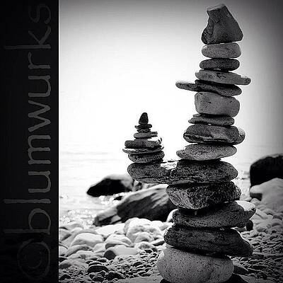 Wall Art - Photograph - The Importance Of Us All by Matthew Blum