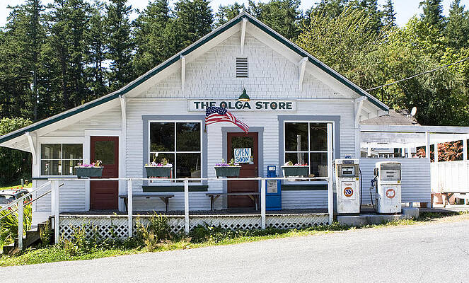 The Olga Store is Open Soon by Lorraine Devon Wilke The Olga Store is Open Soon by Lorraine Devon Wilke