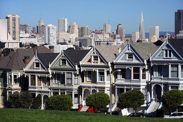 The Painted Ladies by Steve Parr The Painted Ladies by Steve Parr
