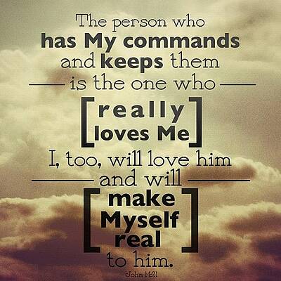 Wall Art - Photograph - the Person Who Has My Commands And by Traci Beeson