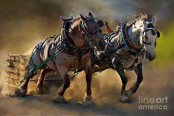 The Power of Two by Davandra Cribbie The Power of Two by Davandra Cribbie