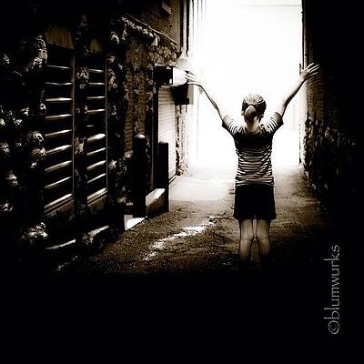 Wall Art - Photograph - The Strength Within by Matthew Blum