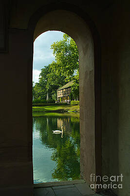 The Swan by Pit Hermann The Swan by Pit Hermann