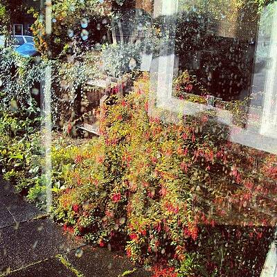 The View From My Window, #cambridge #uk by Abdelrahman Alawwad