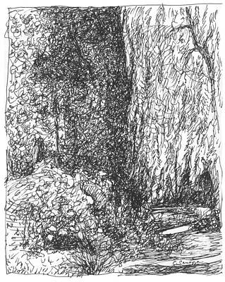 Wall Art - Drawing - The Willow by Elizabeth Carrozza