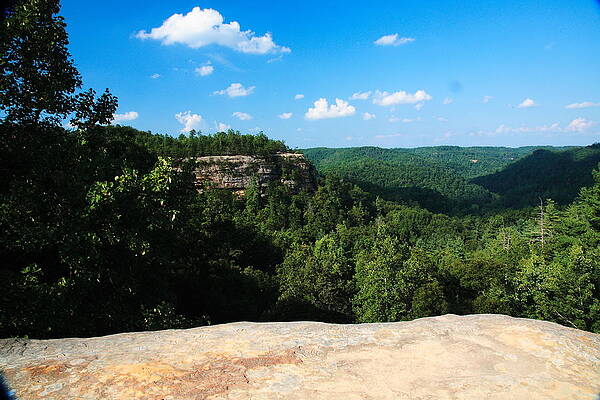 There are views and there are VIEWS by MichaeLouis Photography