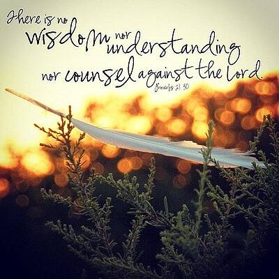 Wall Art - Photograph - there Is No Wisdom Nor Understanding by Traci Beeson