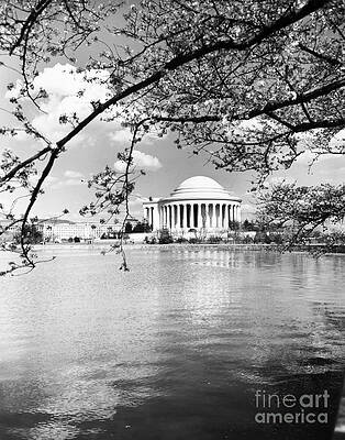 Wall Art - Photograph - Thomas Jefferson Memorial by Granger