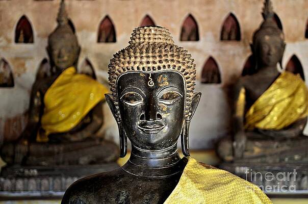 Wall Art - Photograph - Three Times Enlightened by Dean Harte
