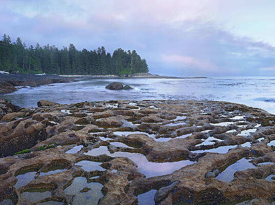 Wall Art - Photograph - Tide Pools Exposed At Low Tide by Tim Fitzharris