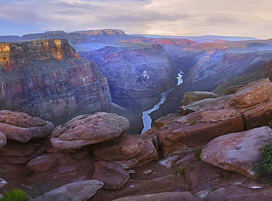 Wall Art - Photograph - Toroweep Overlook View Of The Colorado by Tim Fitzharris