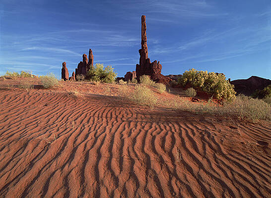 Wall Art - Photograph - Totem Pole And Yei Bi Chei With Sand by Tim Fitzharris
