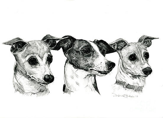 Tre Amici by Deb Gardner