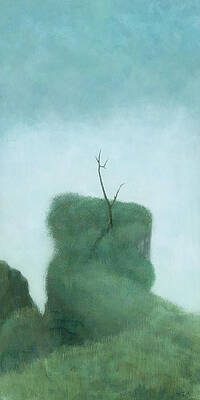 Tree at Iguazu by Steve Mitchell