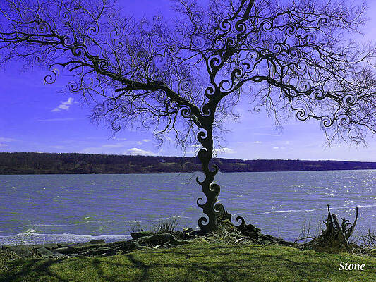 Tree Of Life by Miraychel Stone