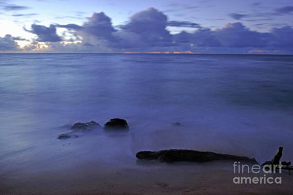 Wall Art - Photograph - Tree trunk and rocks partially submerged in sea at sunrise by Sami Sarkis Photography