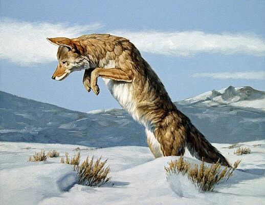 Trickster by Peter Eades Trickster by Peter Eades