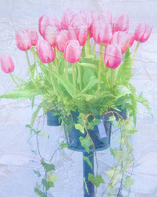 Tulips by Beverly Hanson Tulips by Beverly Hanson