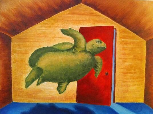 Turtle Entrapment by Stephanie Reid
